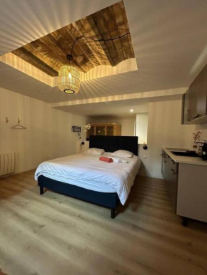 CELLAR- Appartement Sous-Sol Atypique